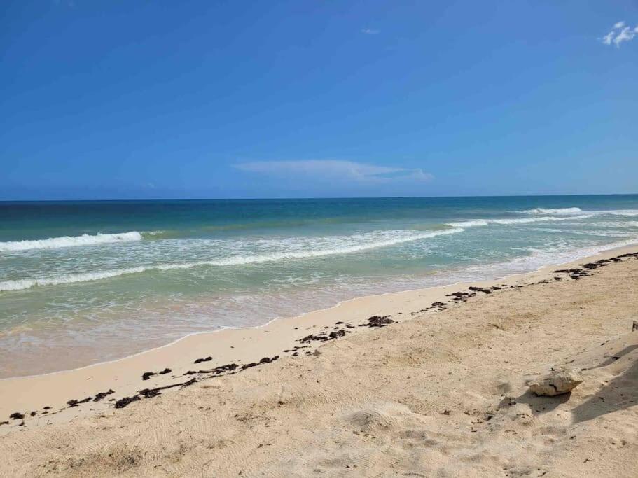 Luxury 5-Br Beachfront Home In Tulum Casa Sofia Gato Exterior foto